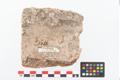 Foto von Ziegel (NHMW-PRAE-002368)
